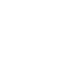 Ticket Icon